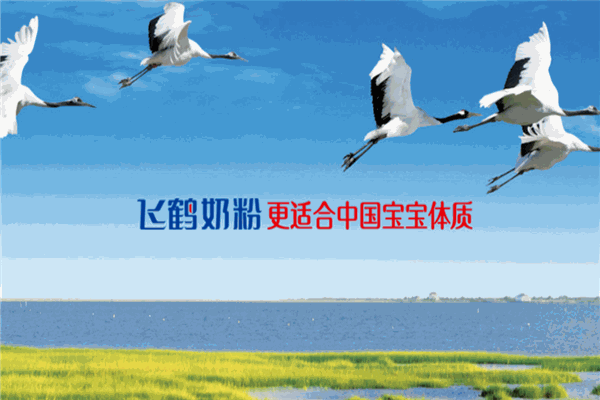 飞鹤婴幼儿奶粉